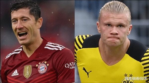 森林狼的成 森林狼的成